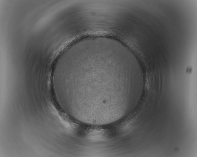 X0000115410206200911171407