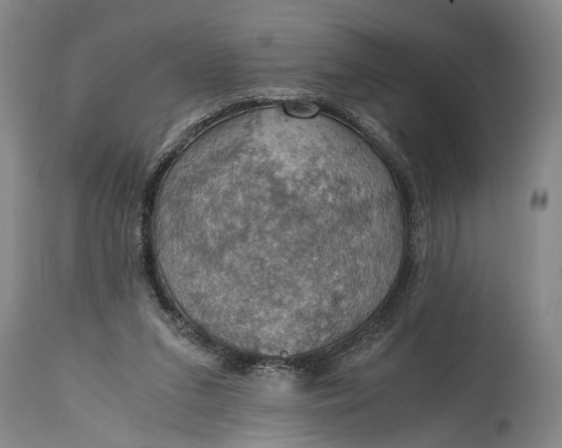 X0000115410207200911171407