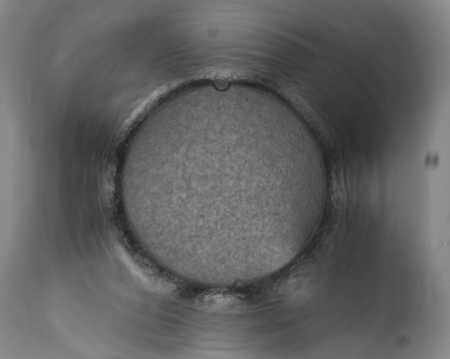 X0000115410208200911171407