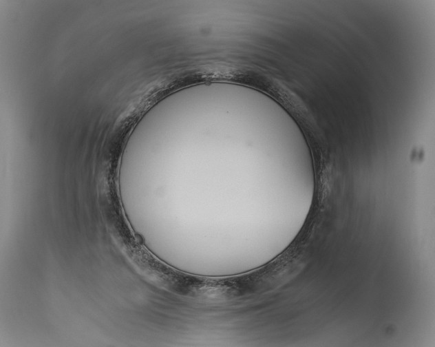X0000115410209200911171407