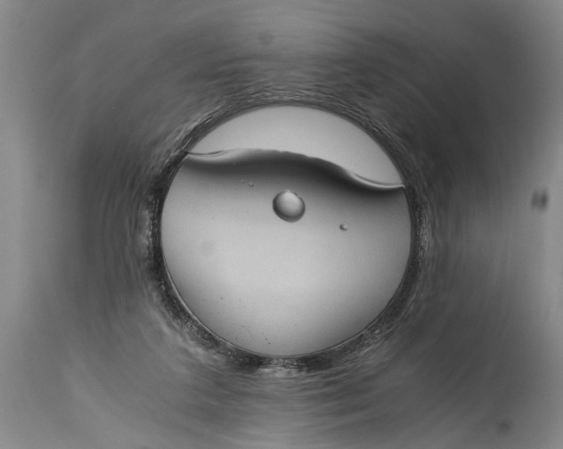 X0000115410211200911171407
