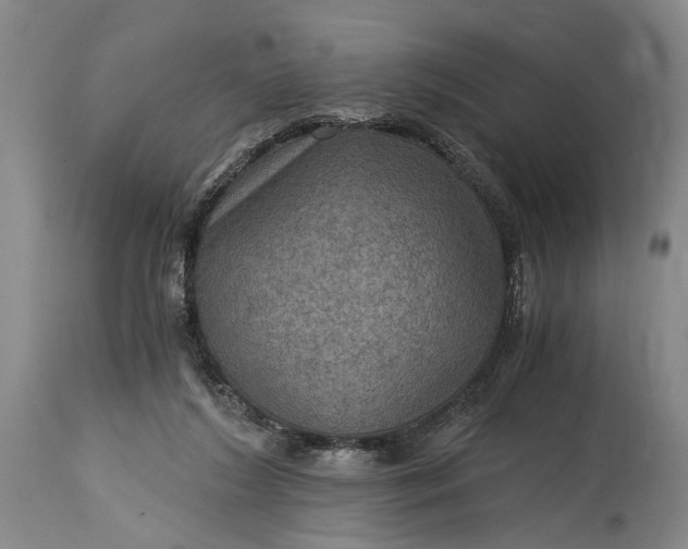 X0000115410212200911171407