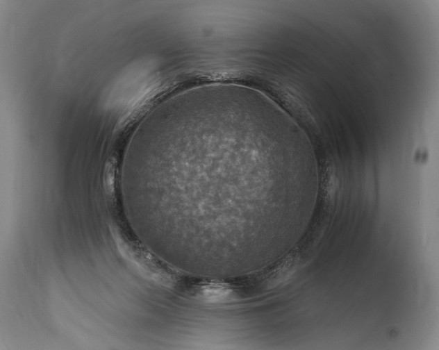 X0000115410214200911171407