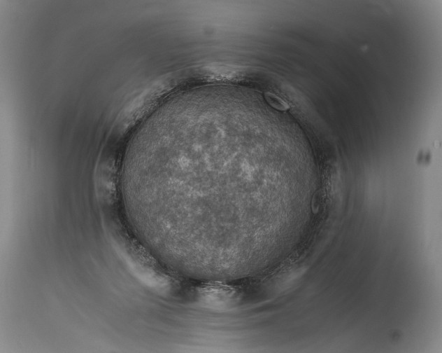 X0000115410215200911171407