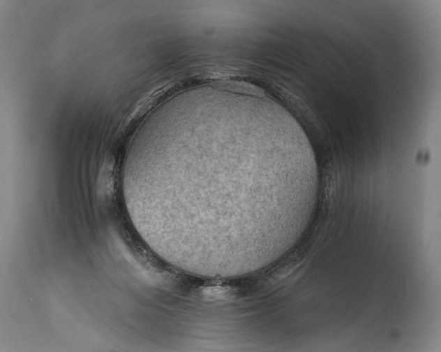 X0000115410216200911171407