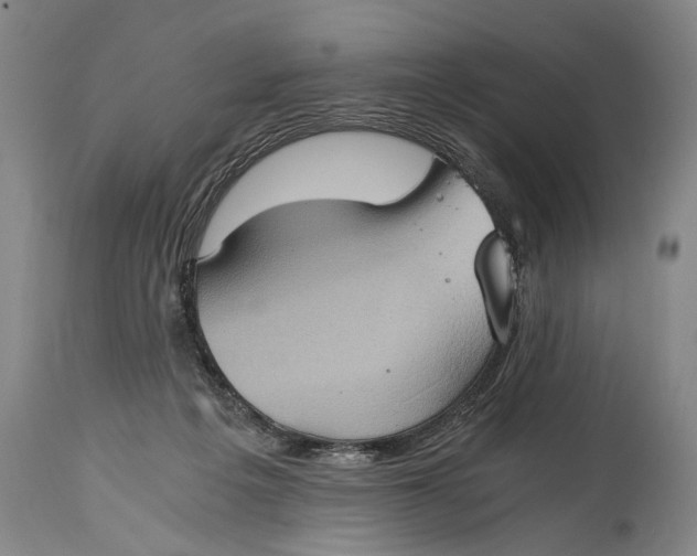 X0000115410217200911171407