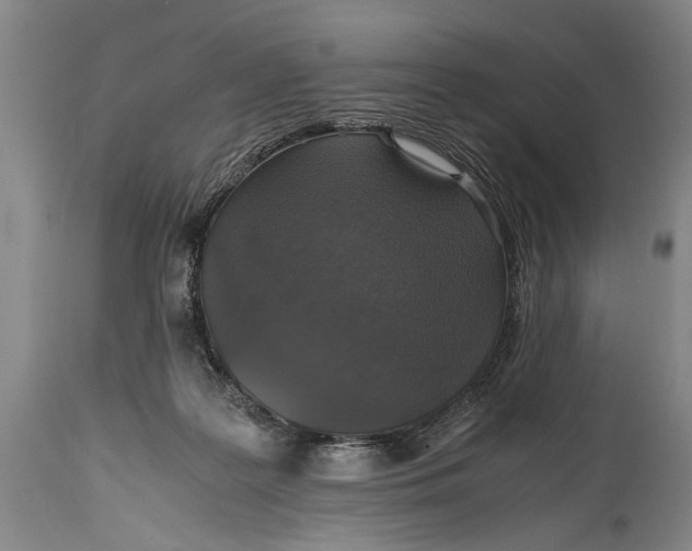 X0000115410219200911171407
