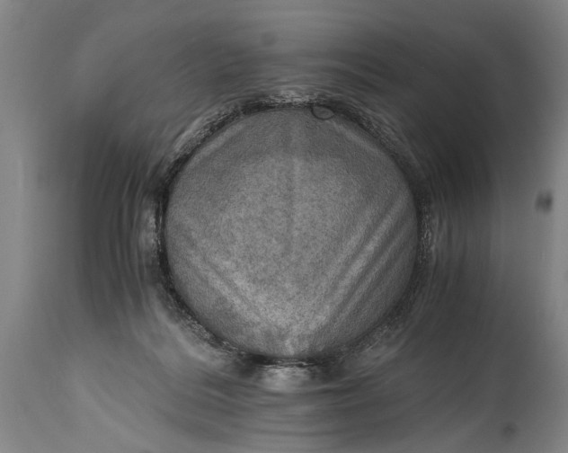 X0000115410220200911171407