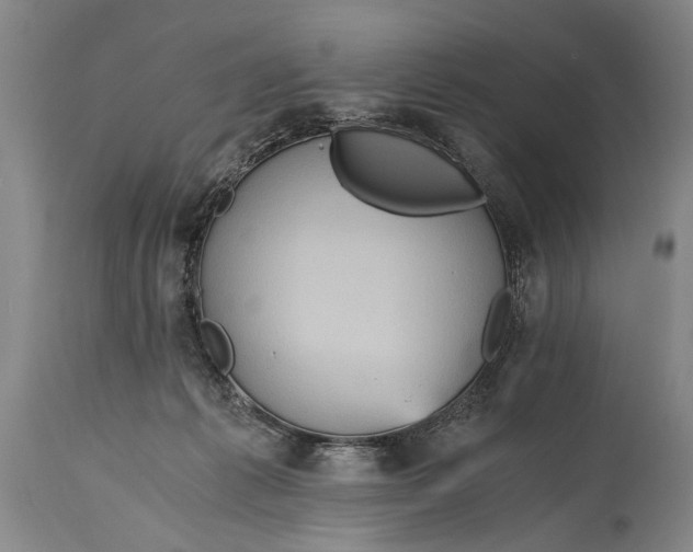 X0000115410221200911171407