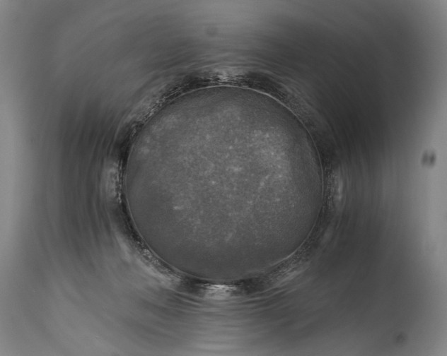 X0000115410222200911171407