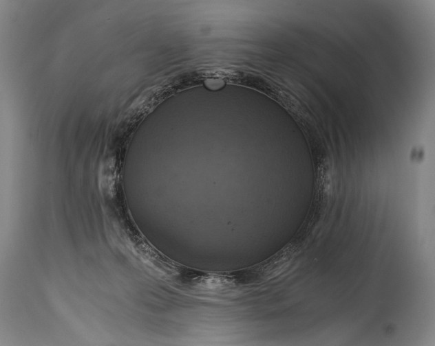 X0000115410223200911171407