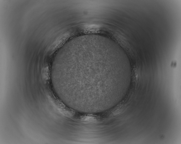 X0000115410224200911171407