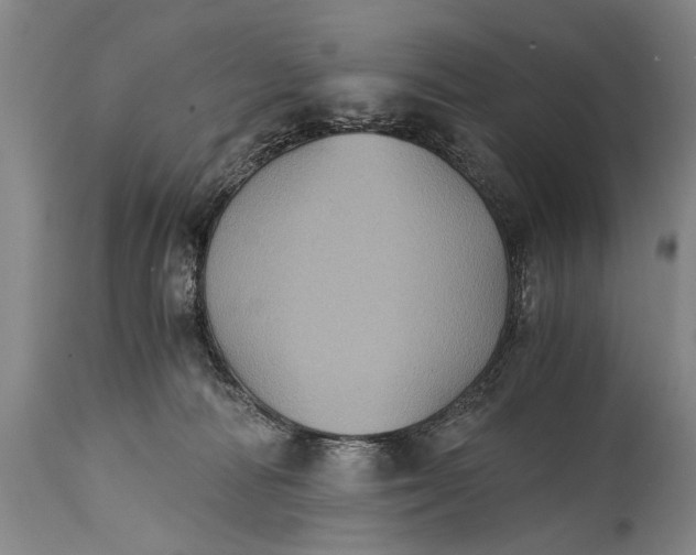 X0000115410226200911171407