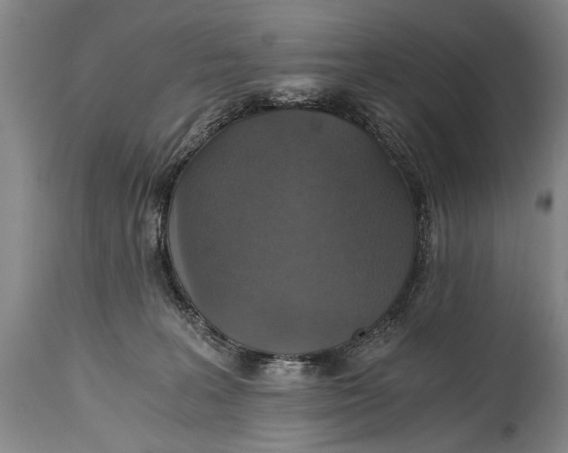 X0000115410227200911171407