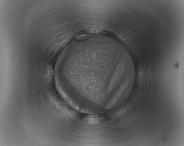 X0000115410228200911171407