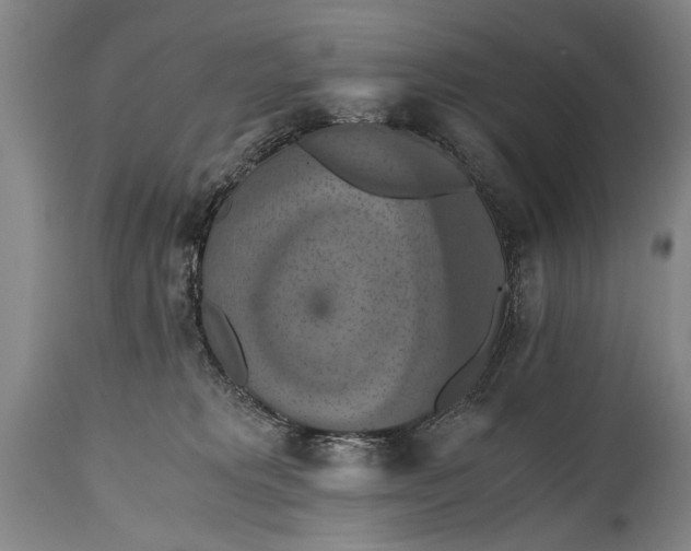 X0000115410229200911171407