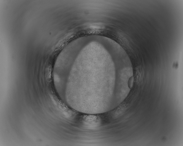X0000115410230200911171407