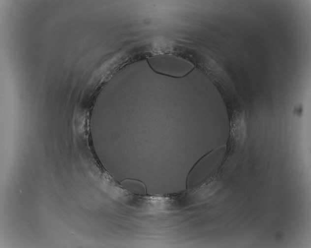 X0000115410233200911171407