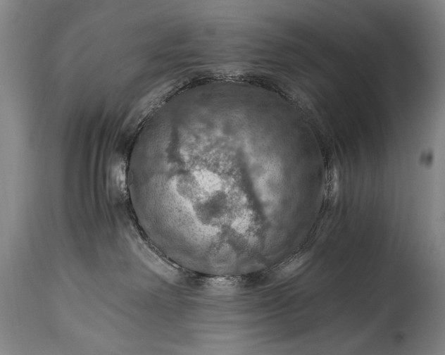 X0000115410238200911171407