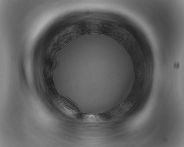 X0000115410239200911171407
