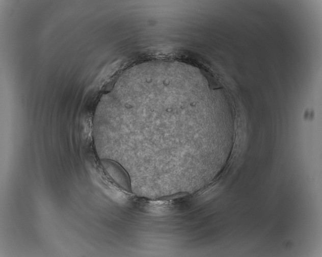 X0000115410240200911171407