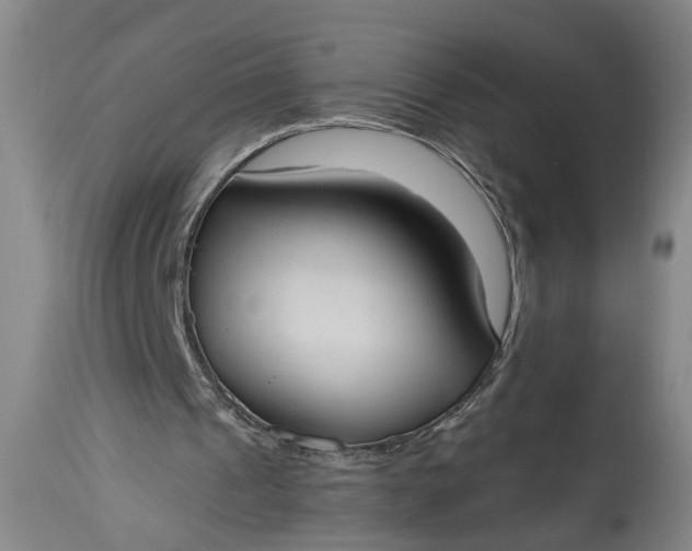 X0000115410241200911171406