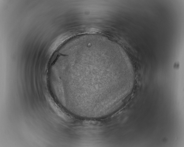 X0000115410242200911171406