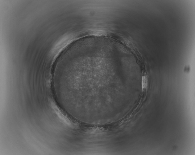 X0000115410243200911171406
