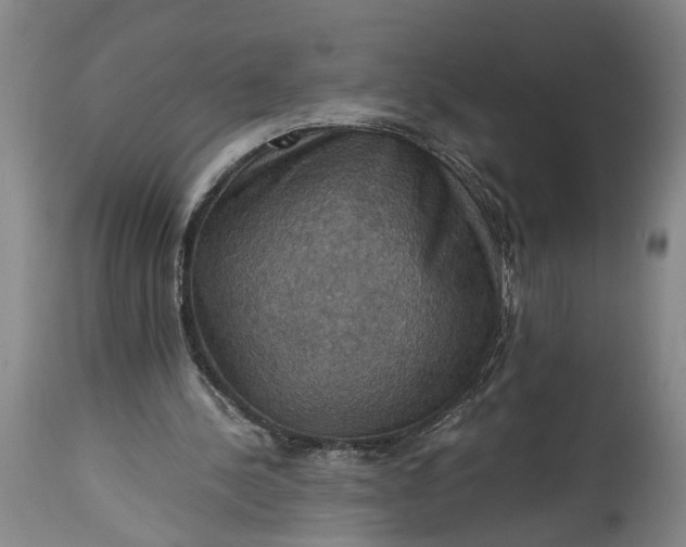 X0000115410244200911171406