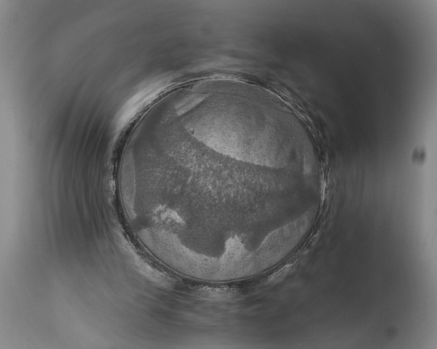 X0000115410245200911171406