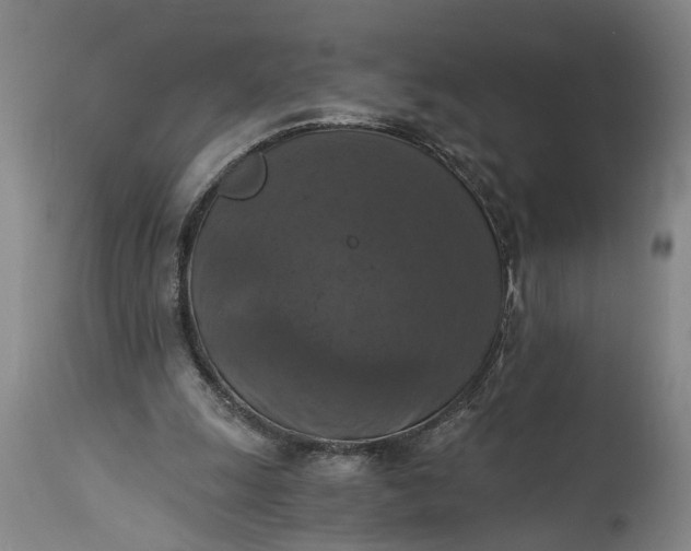 X0000115410247200911171406