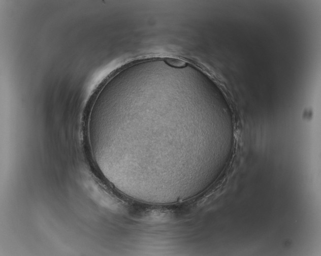X0000115410248200911171406