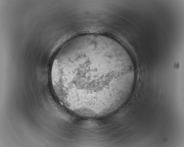 X0000115410250200911171406