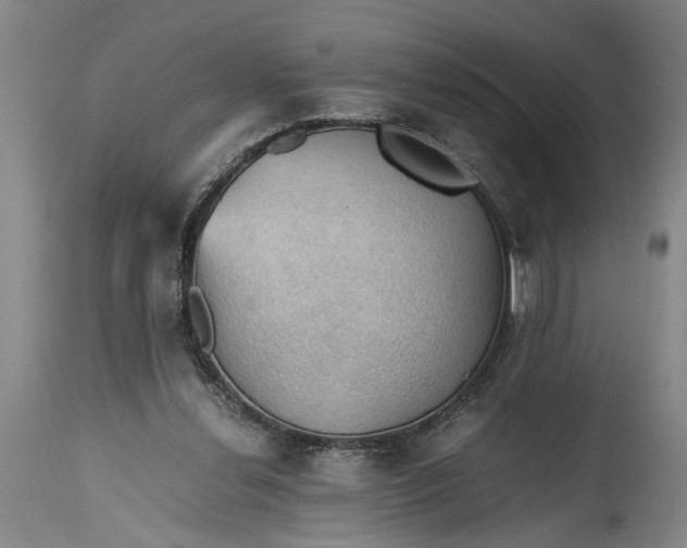 X0000115410252200911171406