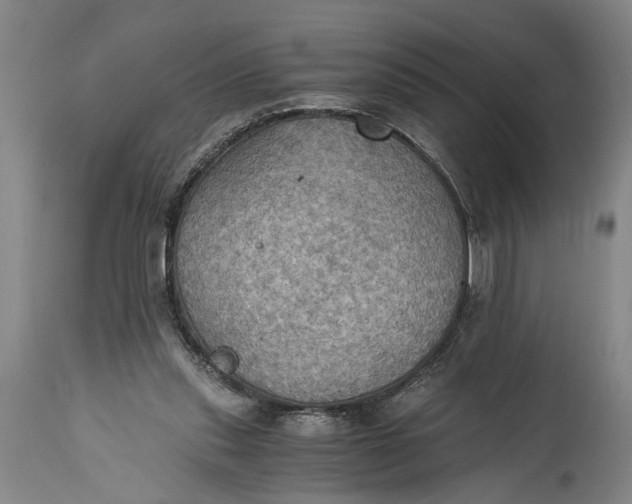 X0000115410253200911171406
