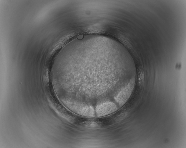 X0000115410254200911171406