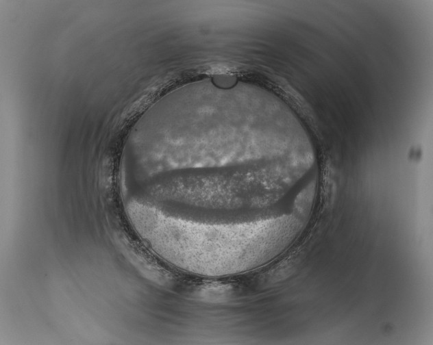 X0000115410257200911171406