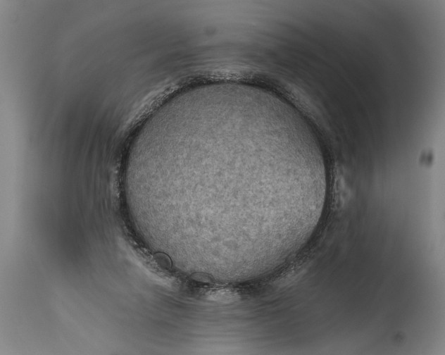 X0000115410258200911171406