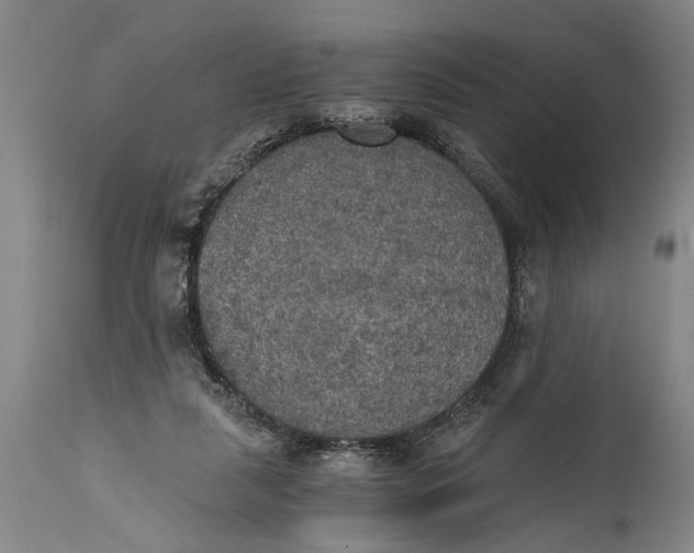 X0000115410259200911171406