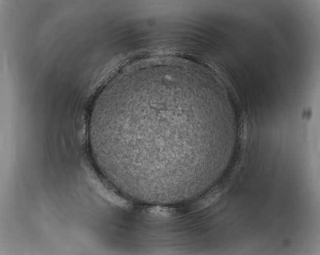X0000115410261200911171406