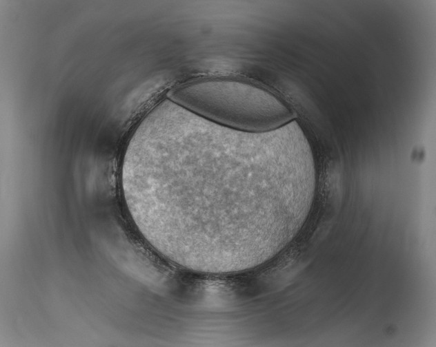 X0000115410264200911171406