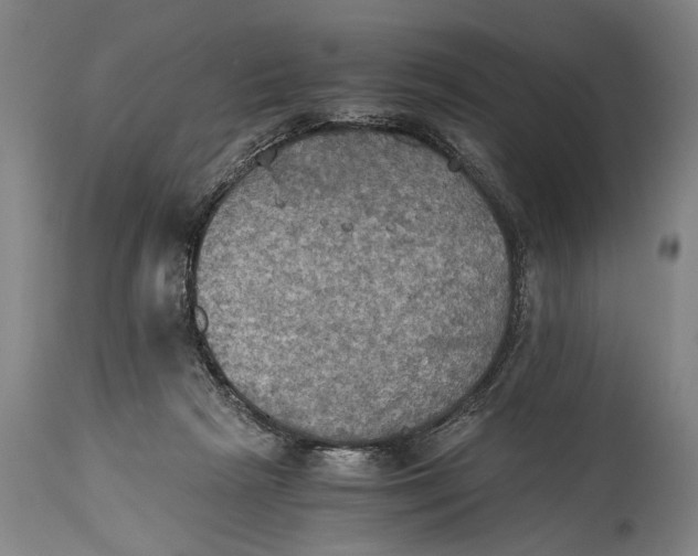 X0000115410265200911171406
