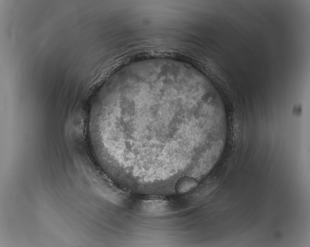 X0000115410266200911171406