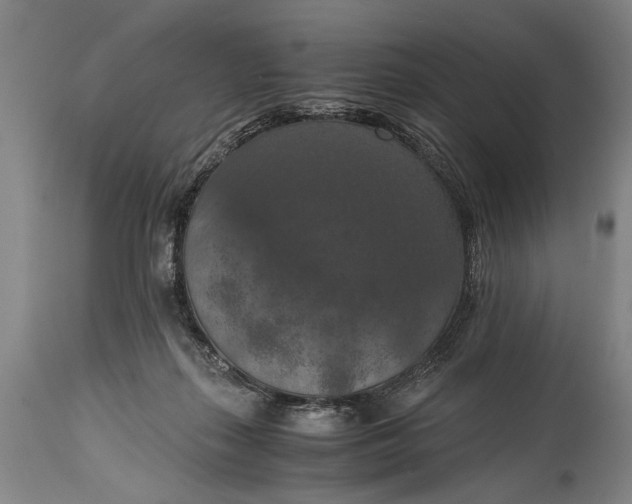 X0000115410267200911171406