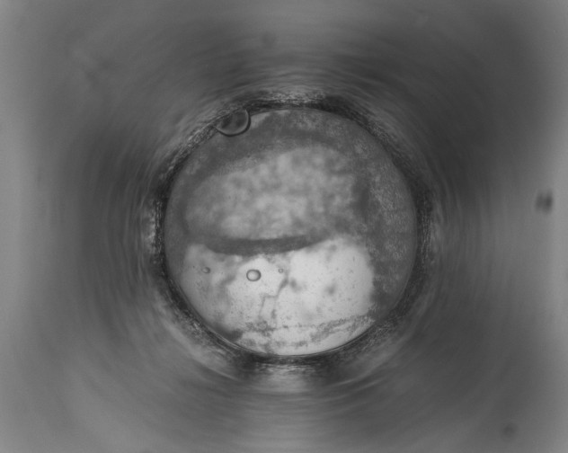 X0000115410268200911171406
