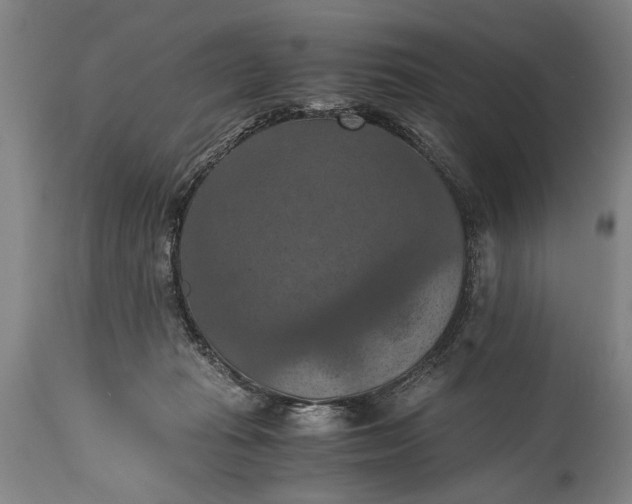 X0000115410269200911171406