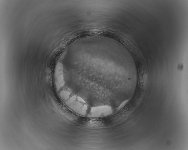 X0000115410270200911171406