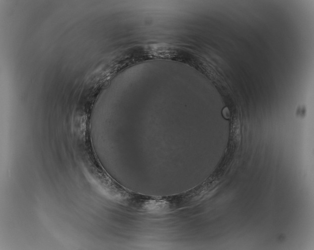 X0000115410271200911171407