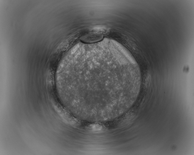 X0000115410272200911171407