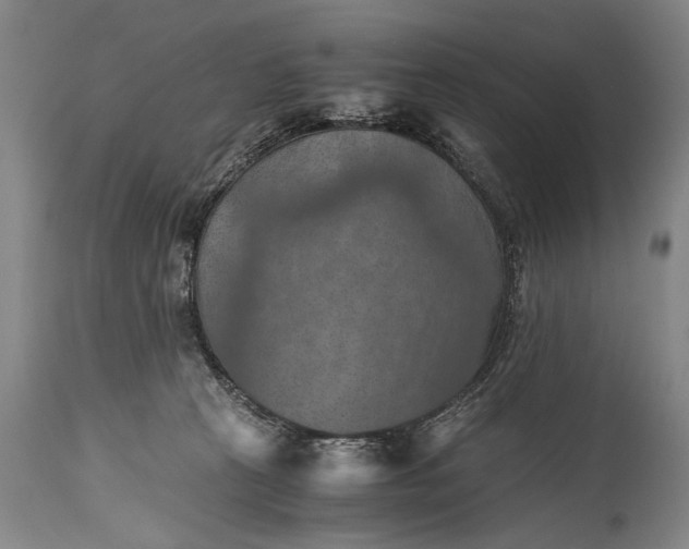 X0000115410273200911171407